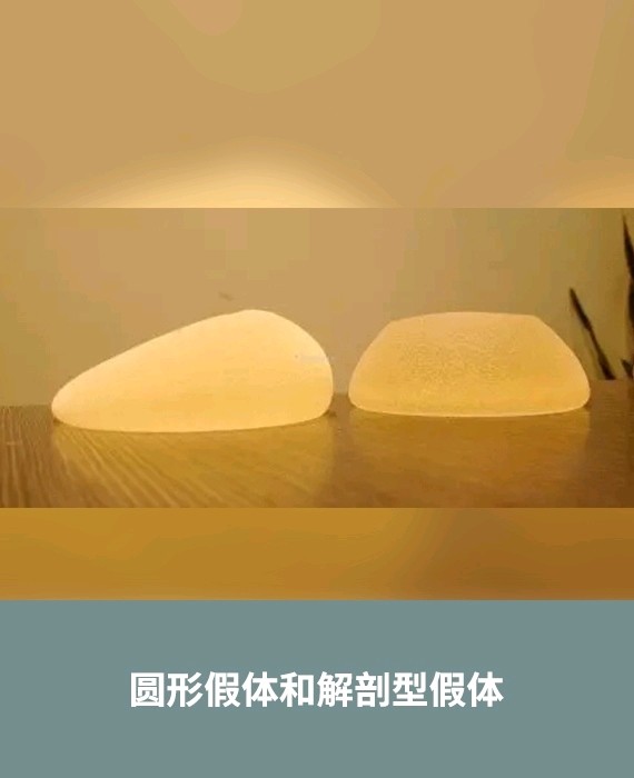 假体材料形状