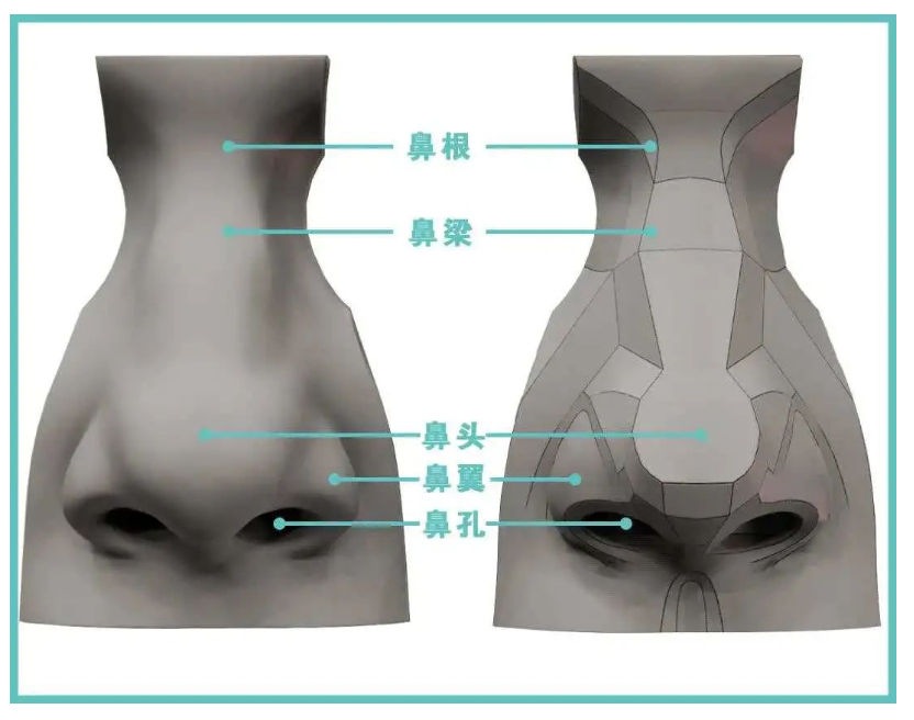 大鼻头能单独整形吗