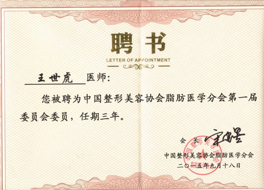 王世虎简介是真的吗