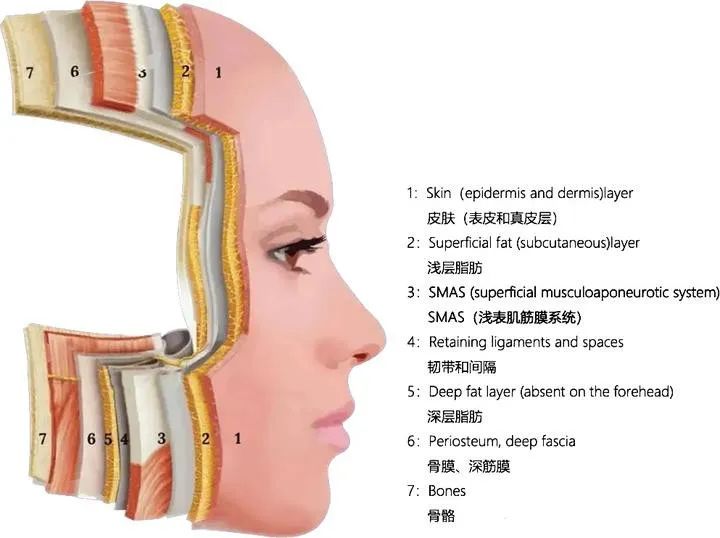 面部抗衰老最好的方法是什么