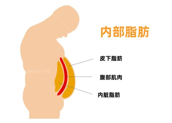 腰腹赘肉怎么减