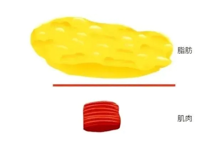 吸脂能瘦多少斤