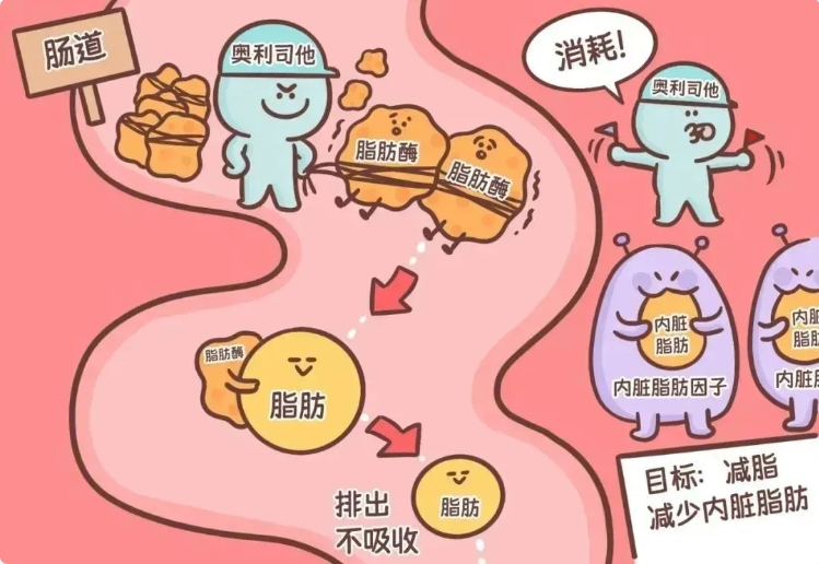 减肥生酮饮食法