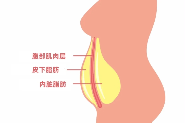 减肥最快效果最好方法