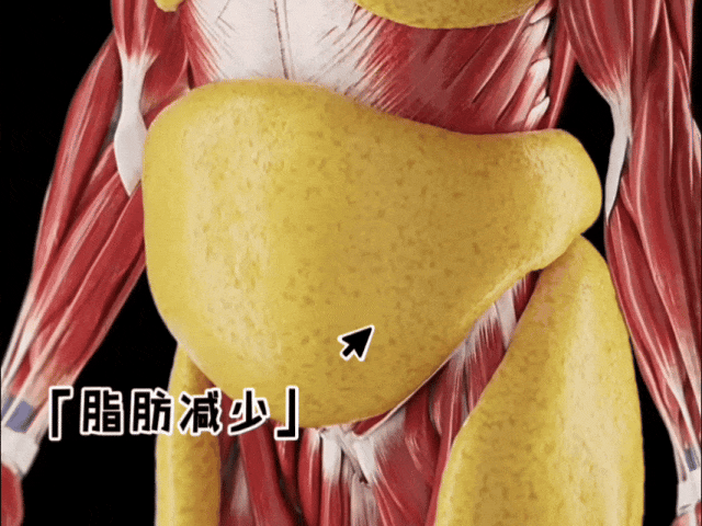 减肥最快效果最好方法