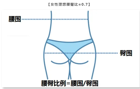腰臀比例多少算完美