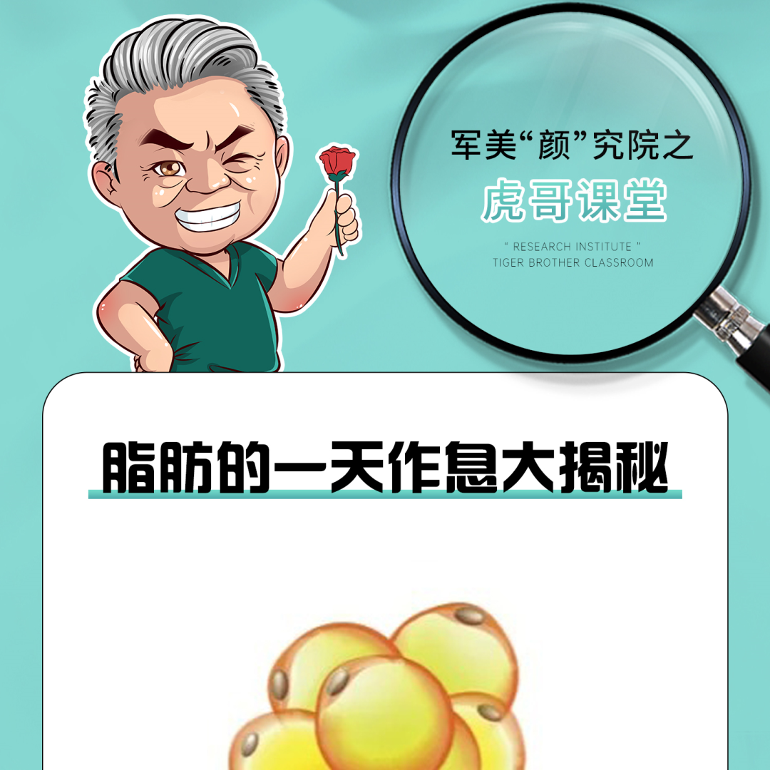 这样吃最健康，脂肪的一天作息大揭秘！