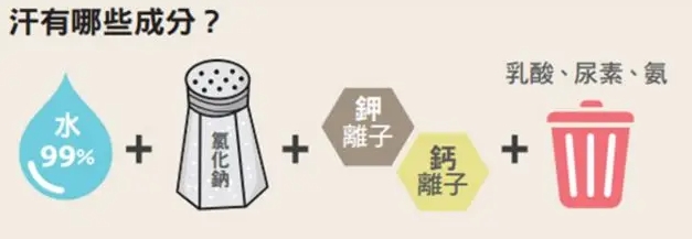 减肥最快效果最好方法