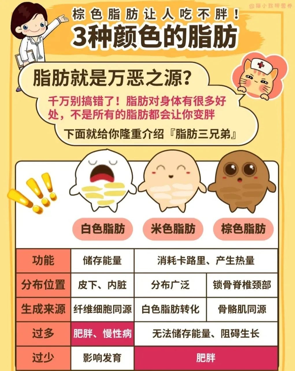 减脂肪最快的方法减肚子