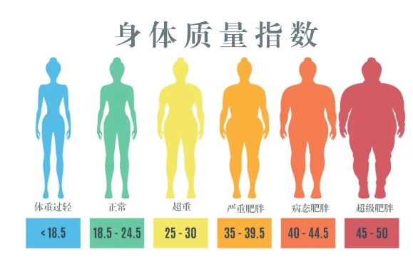 我们是怎么胖起来的