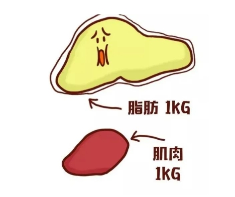 吸脂能瘦多少斤