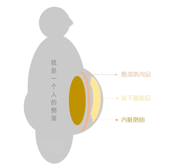 吸脂的原理