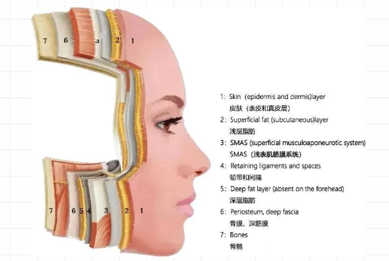 抗衰老的医美项目有哪些