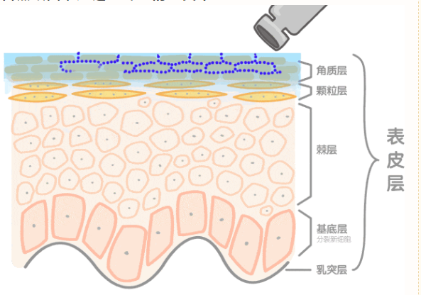 黑眼圈怎么去掉最快最有效