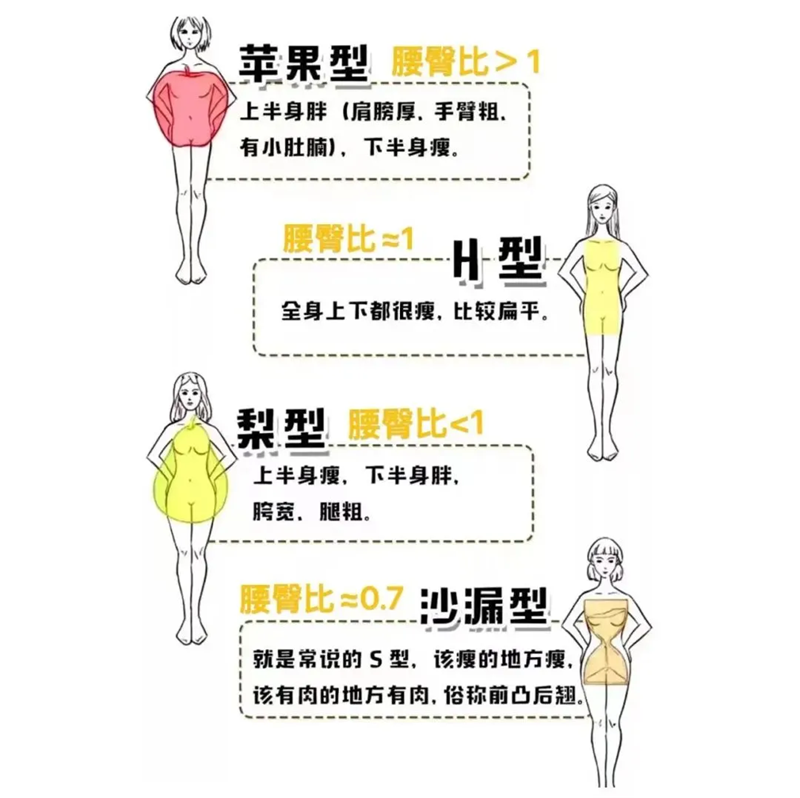 腰臀比完美值多少