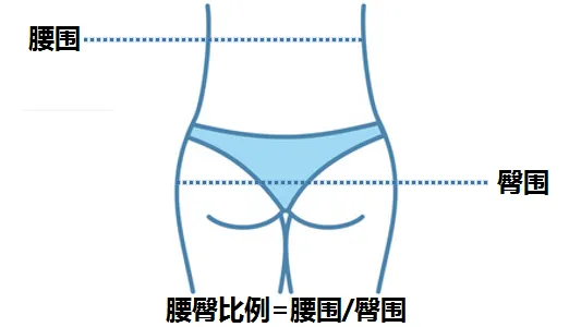 腰臀比完美值多少