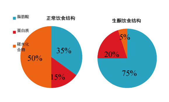 减肥方法有哪些