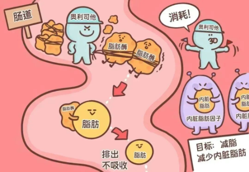 减肥方法有哪些