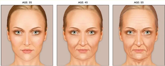 抗衰老最好的方法