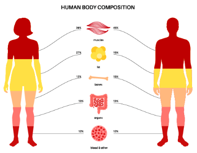 吸脂能瘦多少斤