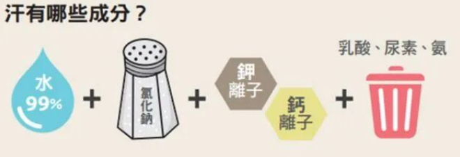暴汗减肥
