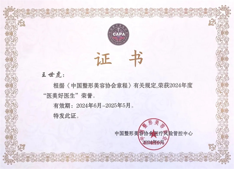 王世虎教授中整协会年度医美好医生证书