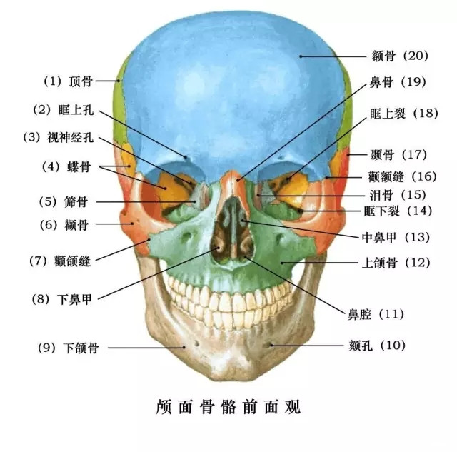 图片3.png