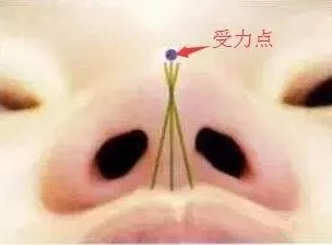 图片34.png