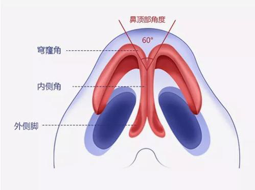 鼻尖不好看怎么办？鼻尖整形有哪些方法?