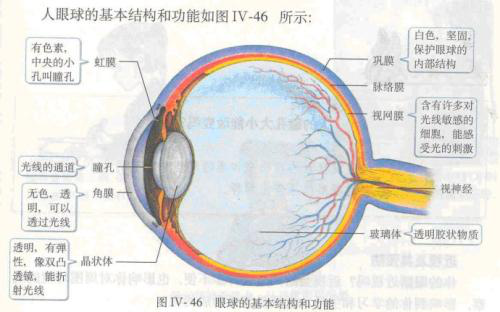图片14.png