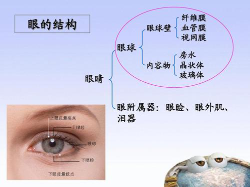  广州开内眼角手术一般需要多少钱?