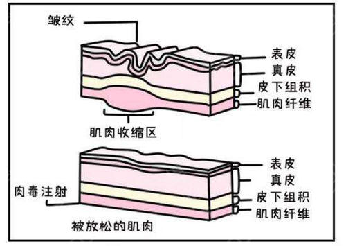 图片16.png