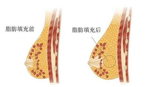 图片24.png
