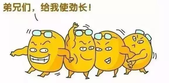 你真的了解吸脂减肥吗？吸脂真的可以减肥吗？