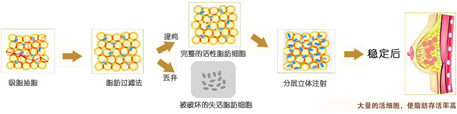 图片10.png