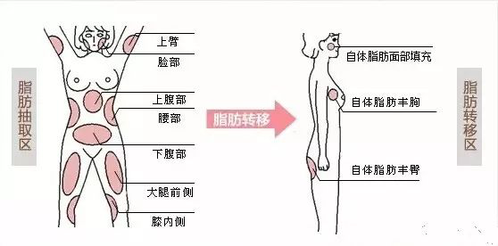 图片20.png
